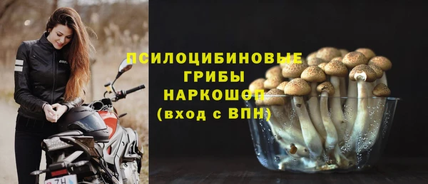 ECSTASY Каменка
