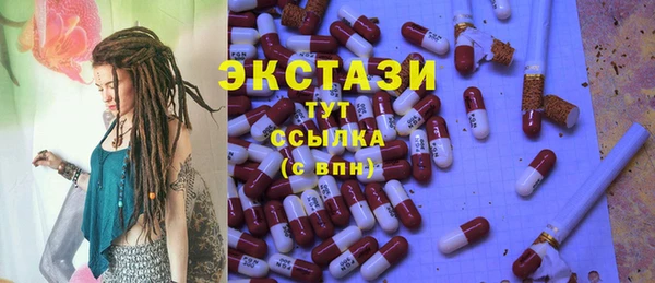 ECSTASY Каменка