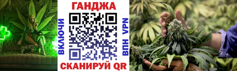 дарнет шоп  Артём  Бошки марихуана сатива 